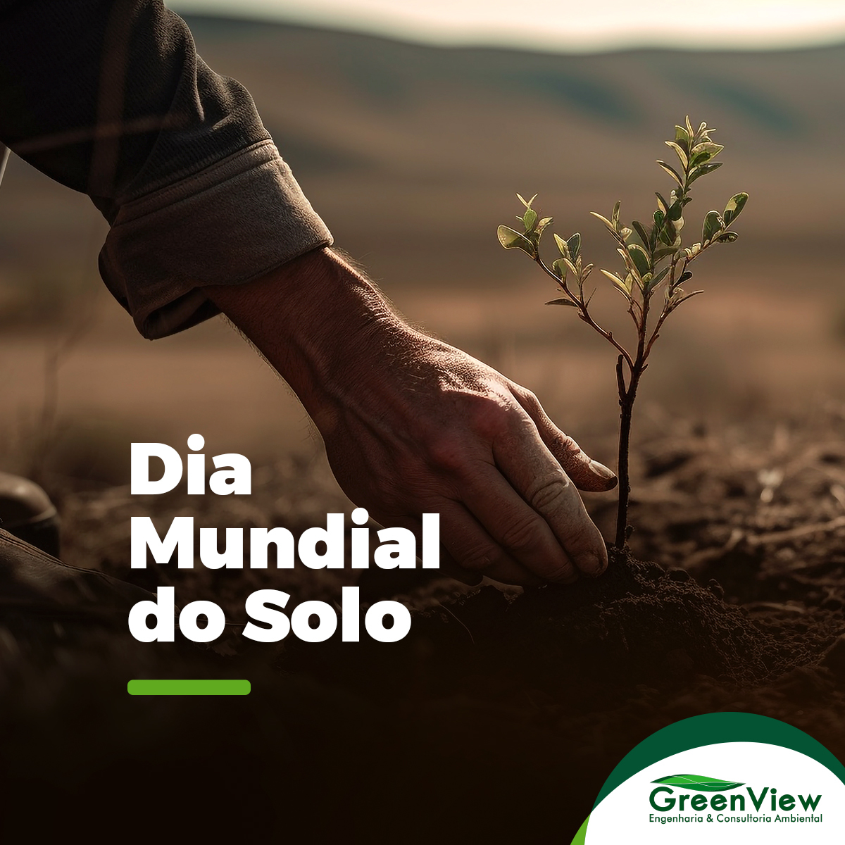 Dia Mundial Do Solo GreenView