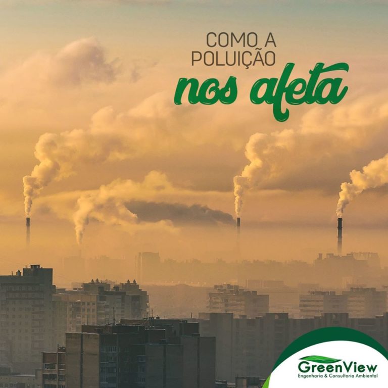 Como a poluição nos afeta ?