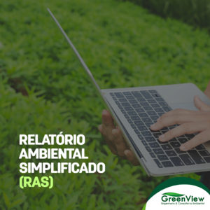 Relatório Ambiental Simplificado