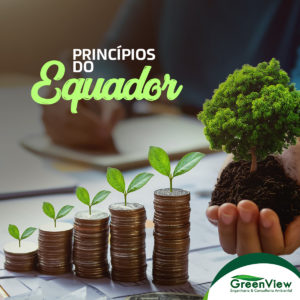 Principios do Equador