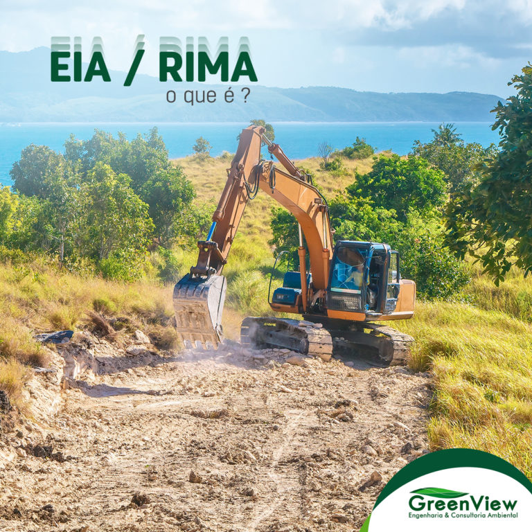 EIA-RIMA