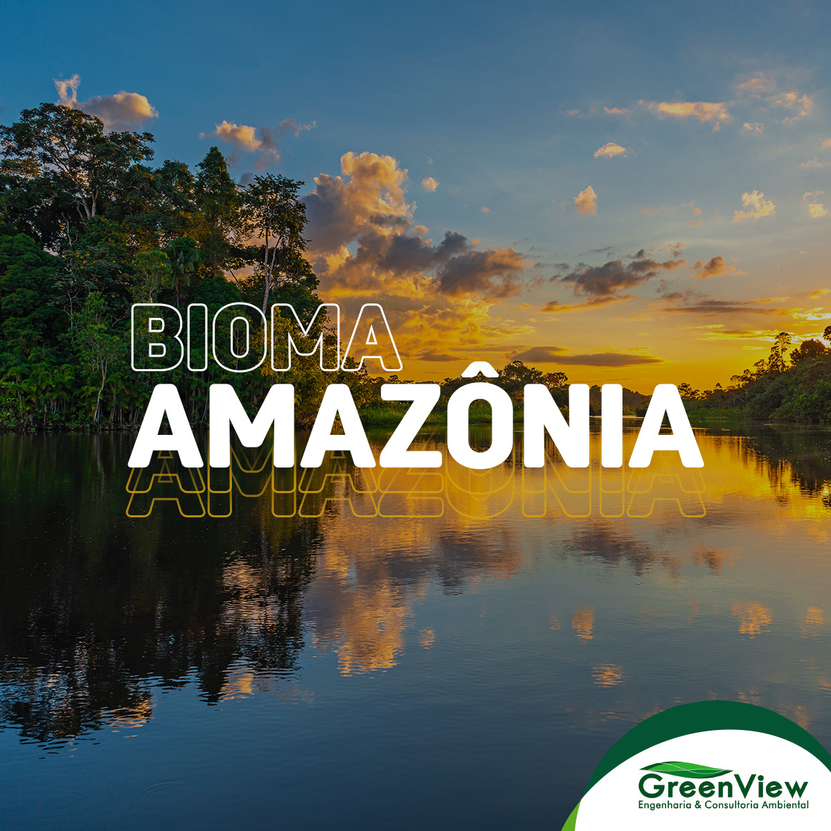 Bioma Amazônia - Floresta Amazônica - GreenView Consultoria