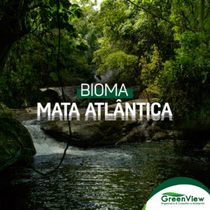 Bioma Mata Atlântica