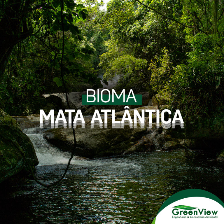 Bioma Mata Atlântica