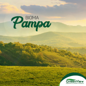 Bioma Pampa