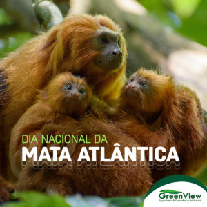 Dia Nacional da Mata Atlântica