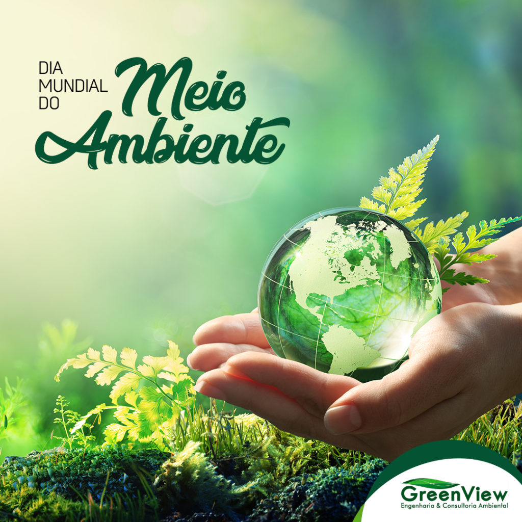 Dia Mundial do Meio Ambiente - Uma imagem do Planeta Terra em destaque verde, com uma mão segurando o planeta terra.