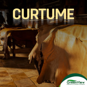 Curtume