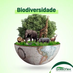 Biodiversidade