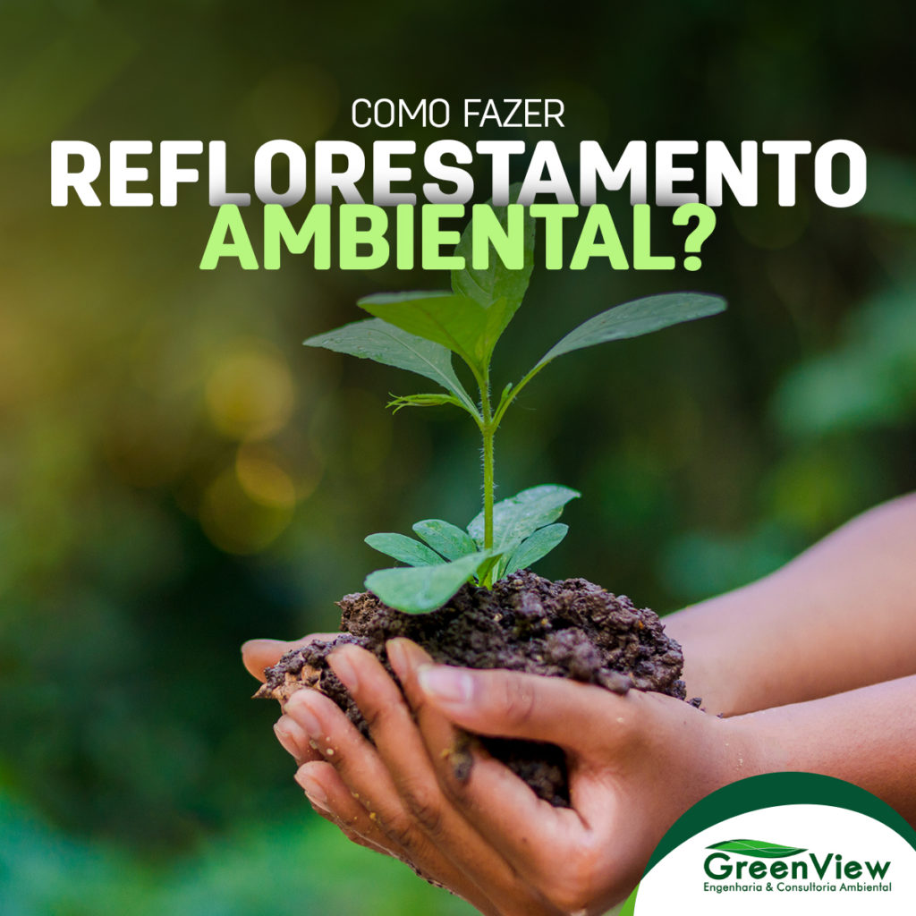 Como fazer reflorestamento ambiental?