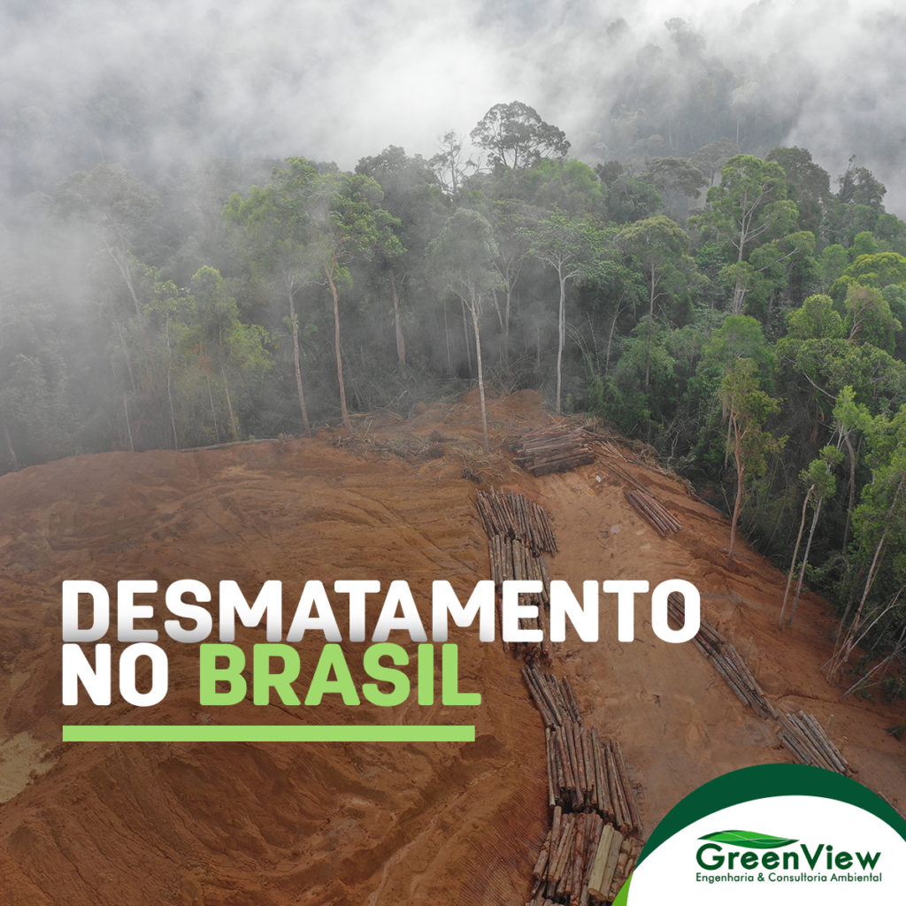 Desmatamento no Brasil