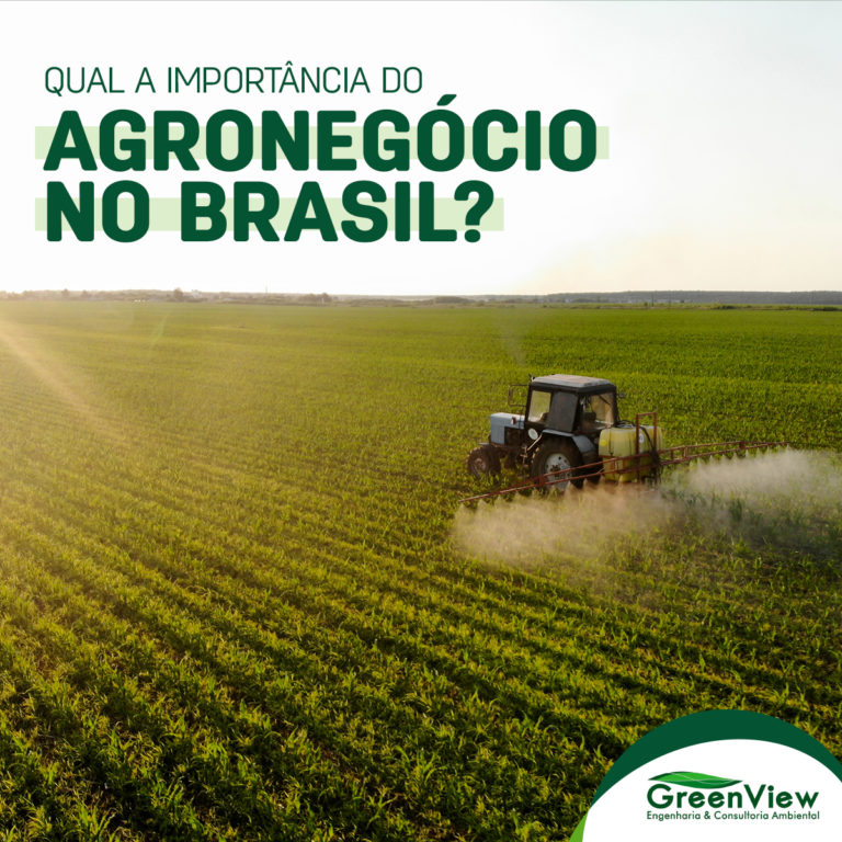 Importância do Agronegócio no Brasil