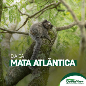 Dia da Mata Atlântica