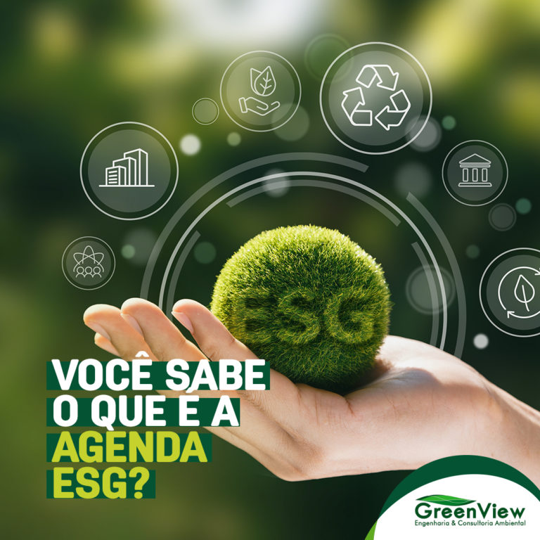 Você sabe o que é Agenda ESG?