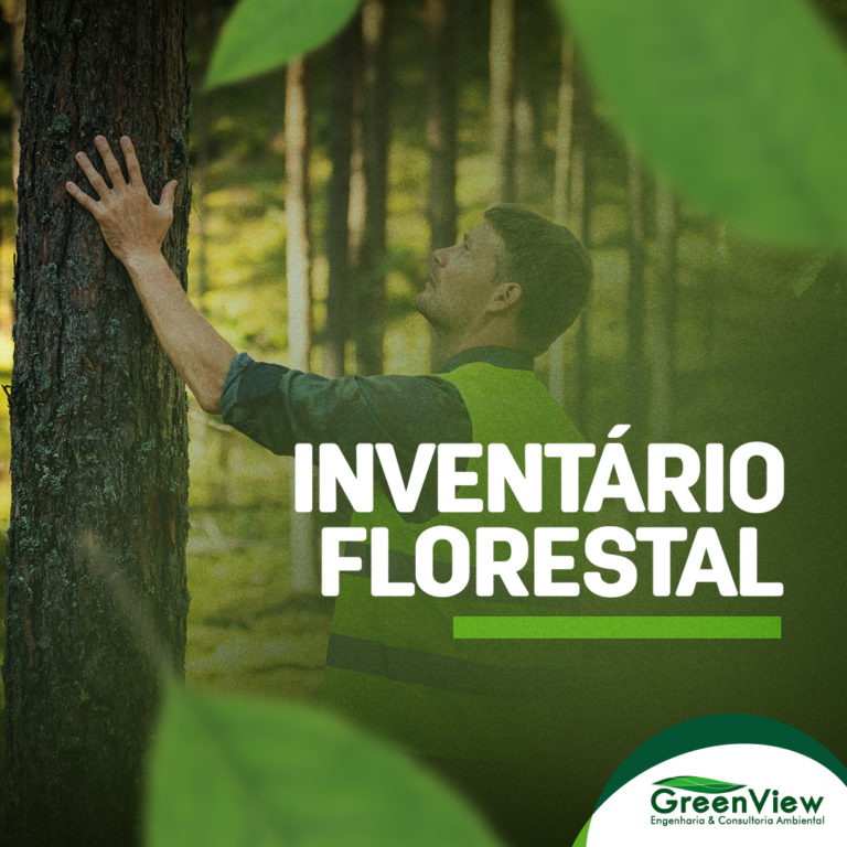 Para que serve o inventário florestal?