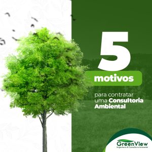 5 motivos para contratar uma Consultoria Ambiental