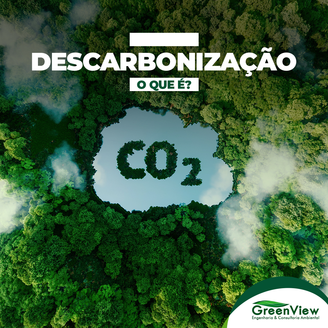 Descarbonização: Tudo O Que Você Precisa Saber. GreenView