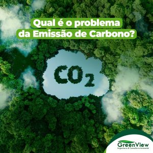 Qual é o problema da emissão de carbono?