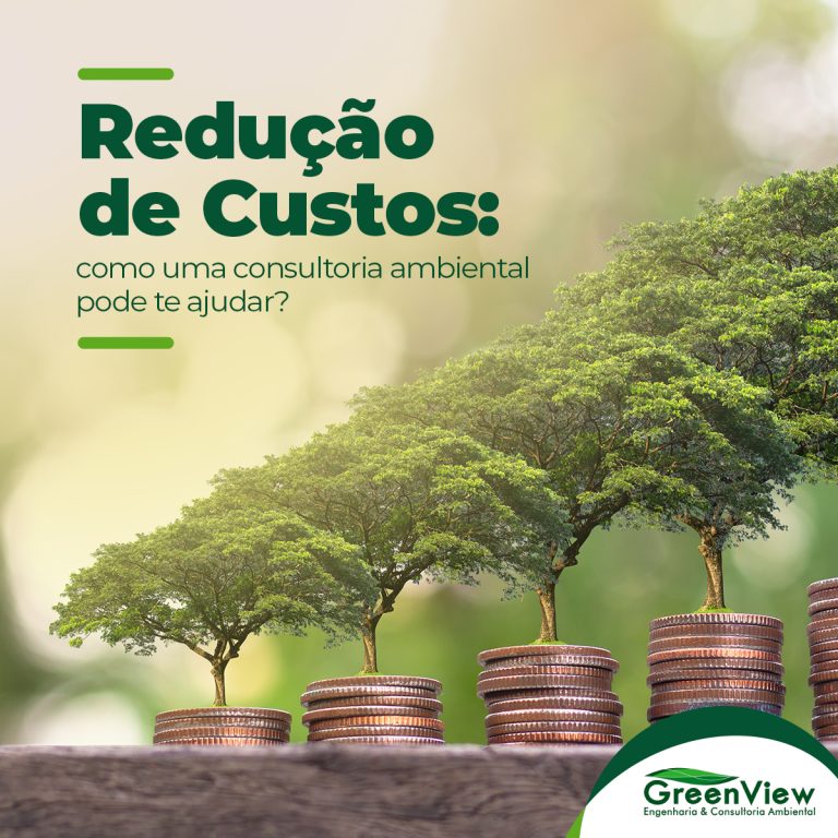 Redução de custos: como uma consultoria ambiental pode te ajudar?