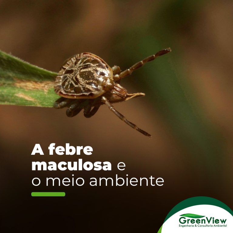 Febre Maculosa e o Meio Ambiente