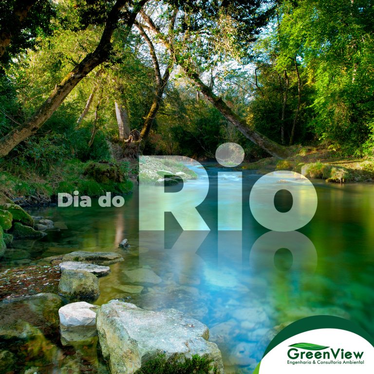 Dia do Rio