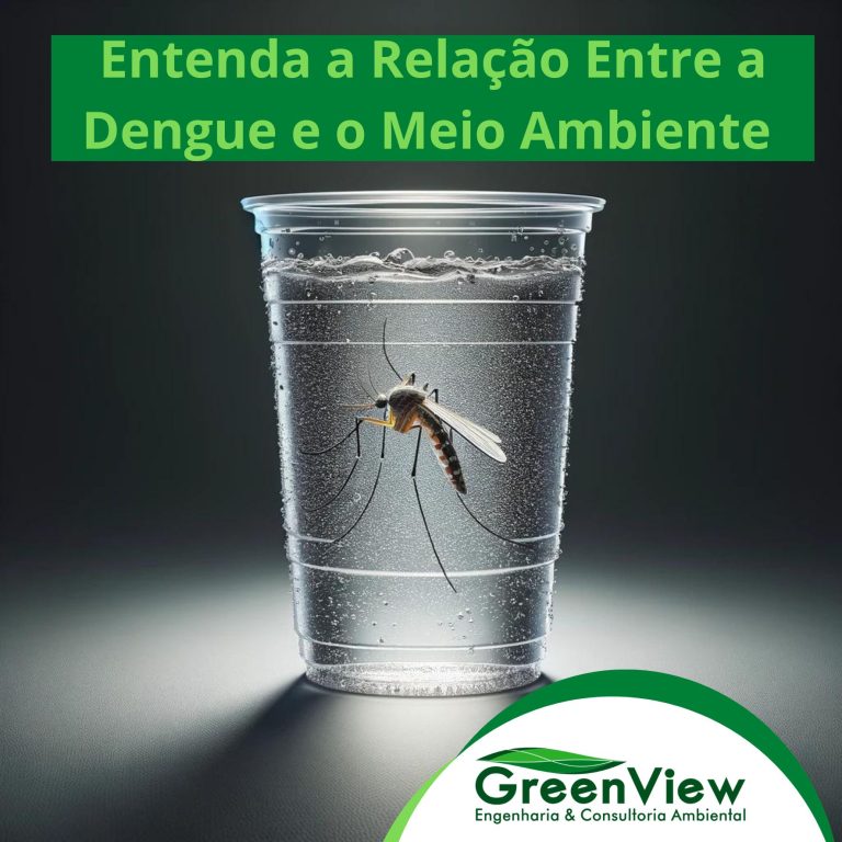 Dengue e o Meio Ambiente