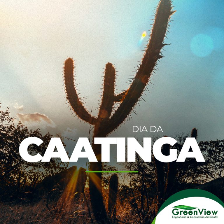 Dia da caatinga - 28 de abril