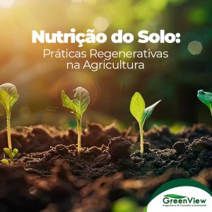 Nutrição do Solo: Práticas Regenerativas na Agricultura