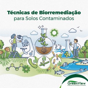 Técnicas de Biorremediação para Solos Contaminados
