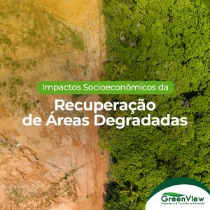 Impactos Socioeconômicos da Recuperação de Áreas Degradadas