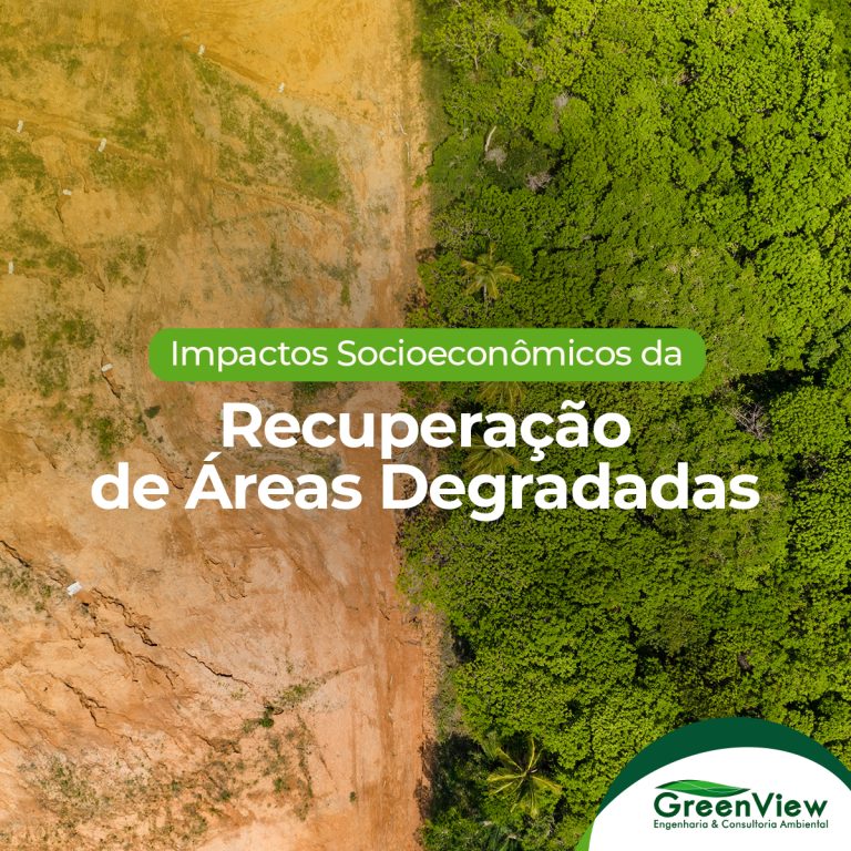 Impactos Socioeconômicos da Recuperação de Áreas Degradadas