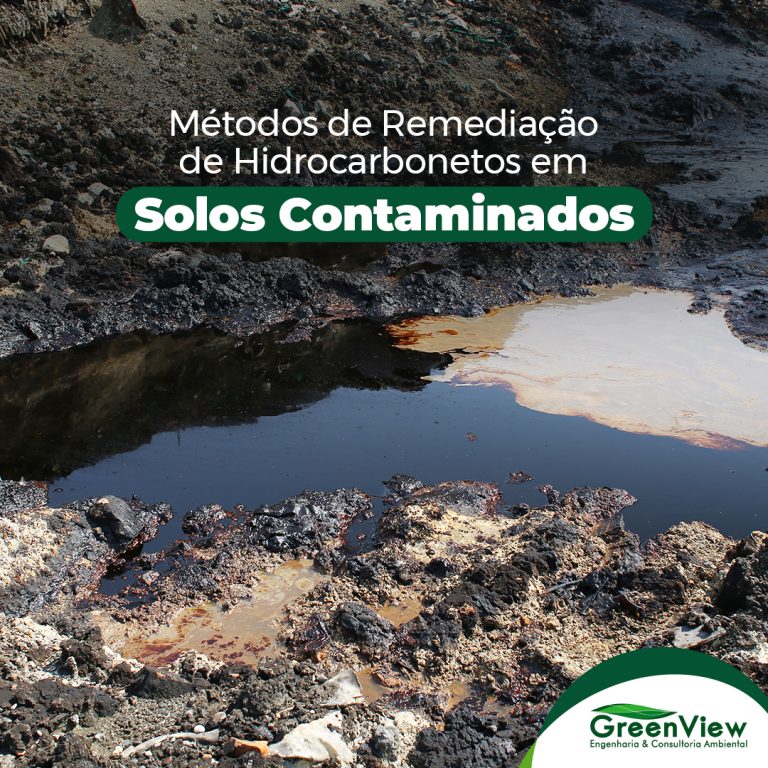 Remediação de Hidrocarbonetos em Solos Contaminados