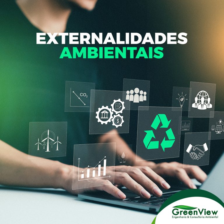 Externalidades Ambientais