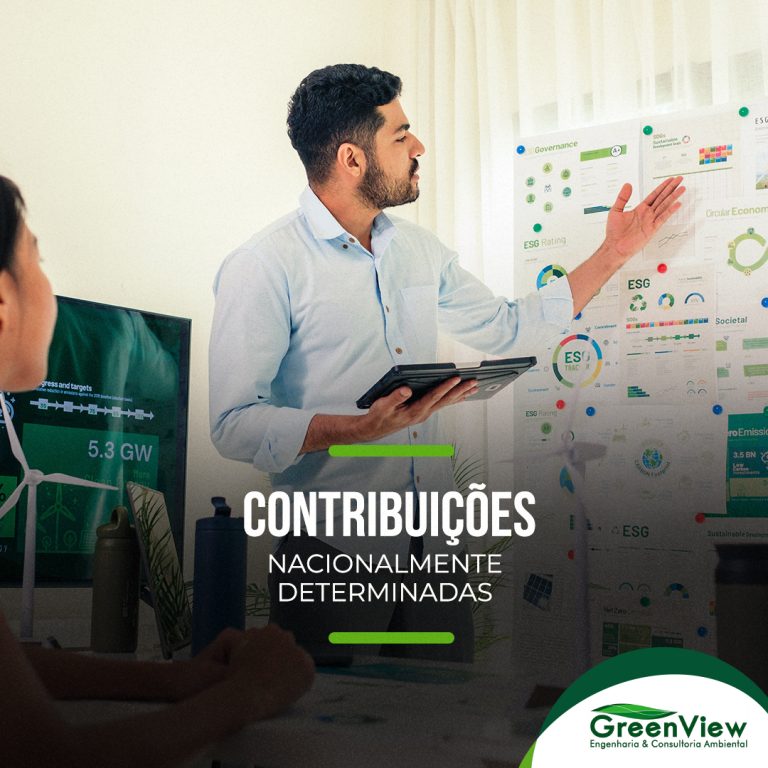 Contribuições Nacionalmente Determinadas