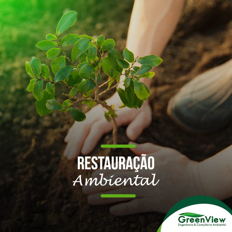 Restauração Ambiental