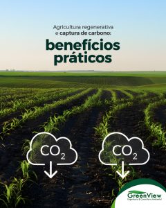 Agricultura regenerativa e captura de carbono: