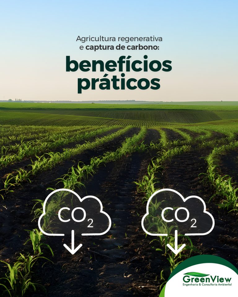 Agricultura regenerativa e captura de carbono: