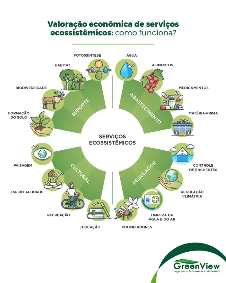 Valoração econômica de serviços ecossistêmicos