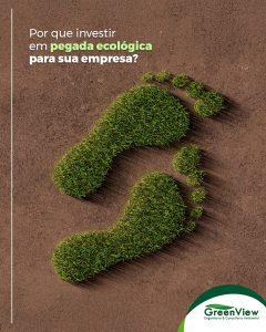 Por que investir em pegada ecológica para sua empresa?