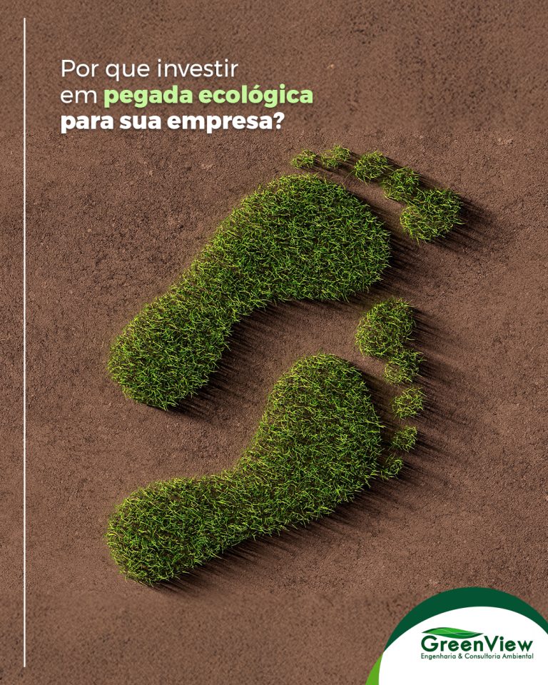 Por que investir em pegada ecológica para sua empresa?