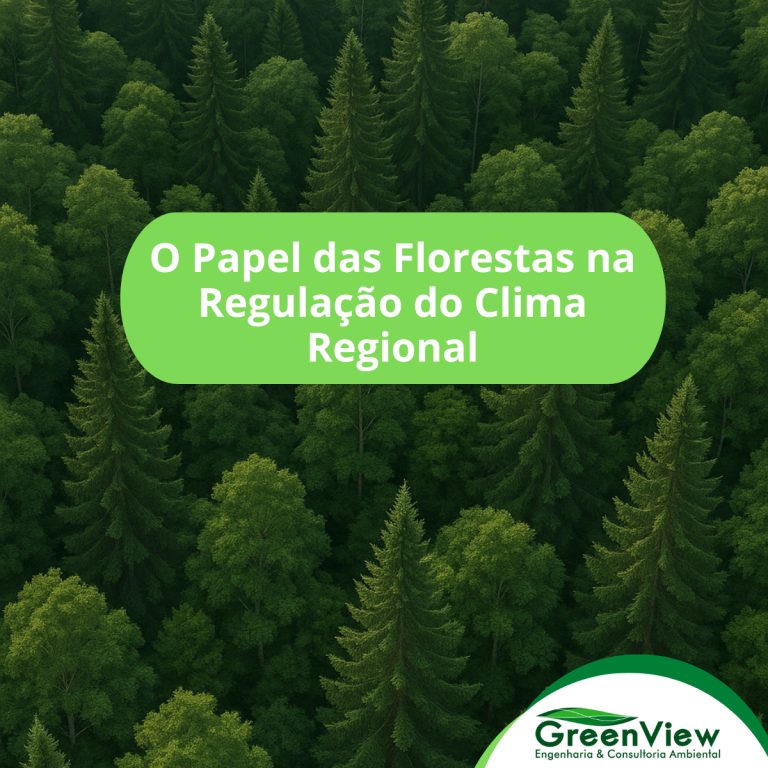 O Papel das Florestas na Regulação do Clima Regional