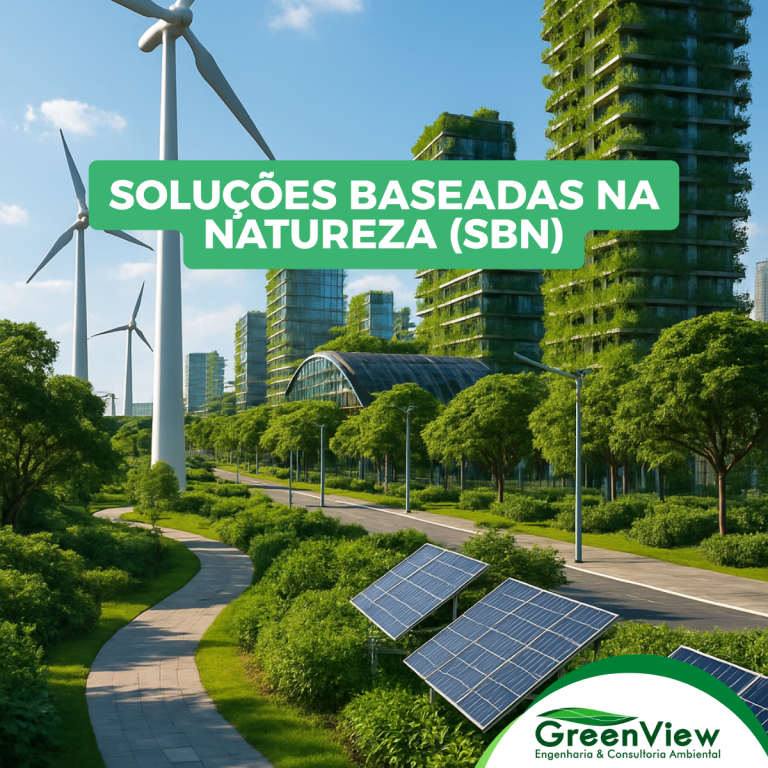 Soluções Baseadas na Natureza
